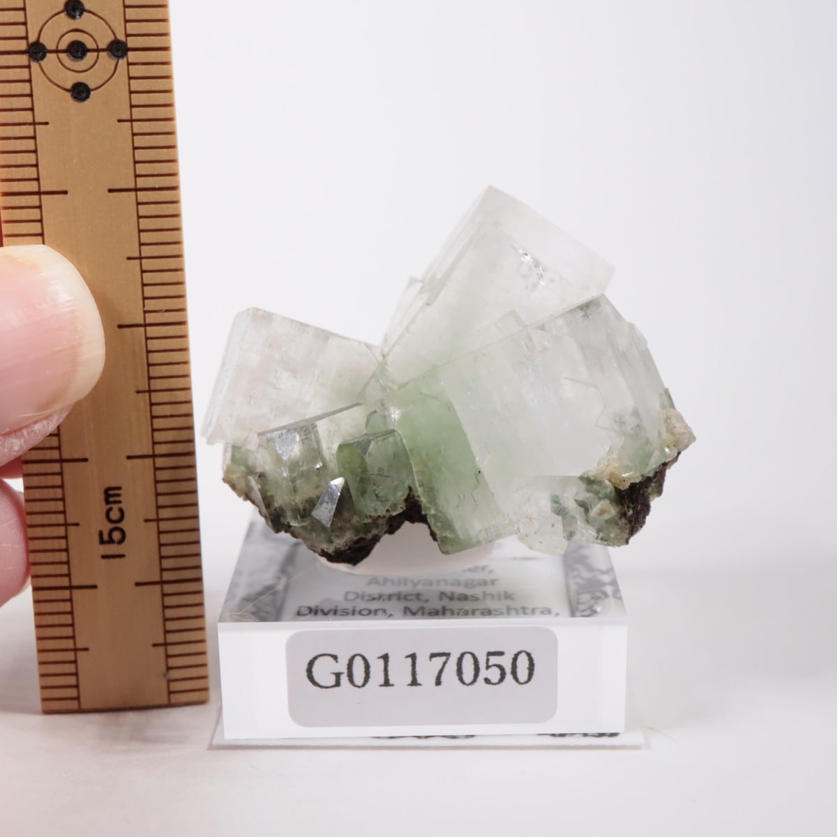 ����ɻ� ���ݥե��饤��