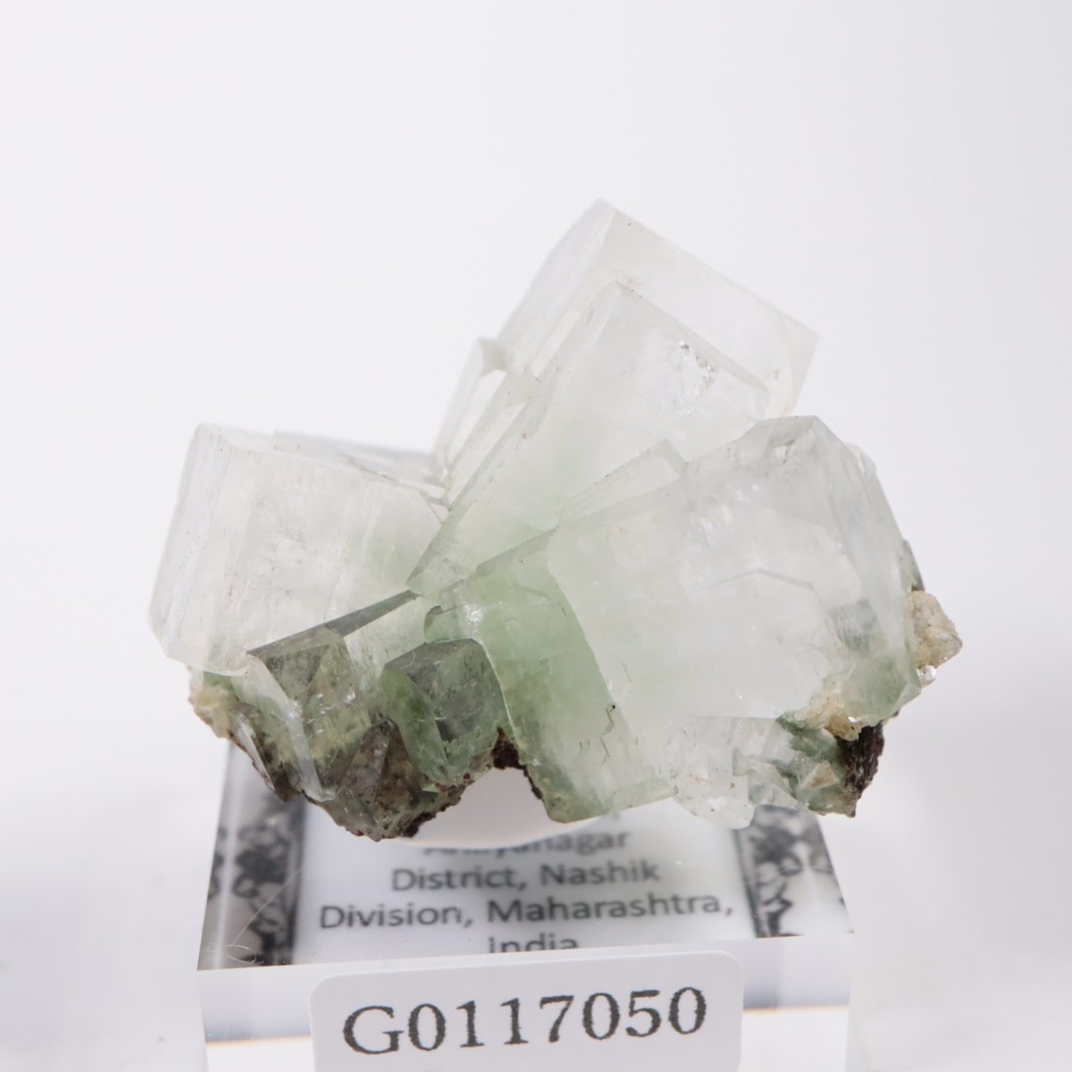 ����ɻ� ���ݥե��饤��