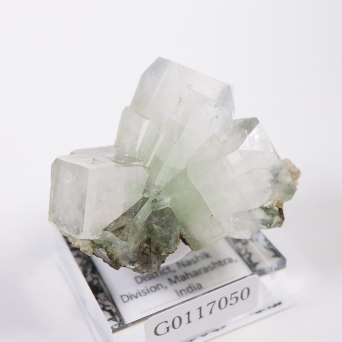 ����ɻ� ���ݥե��饤��