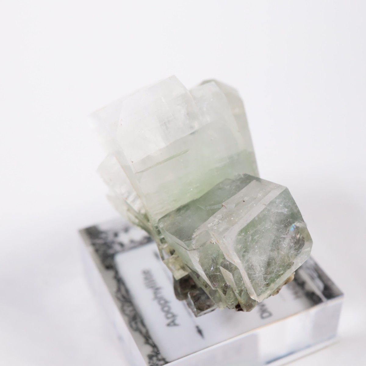 ����ɻ� ���ݥե��饤��