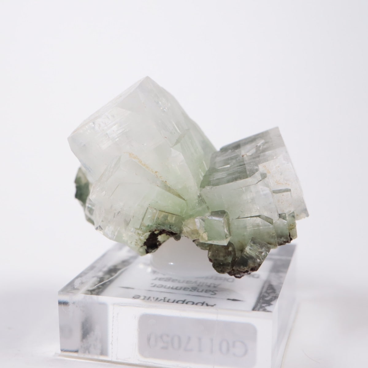 ����ɻ� ���ݥե��饤��