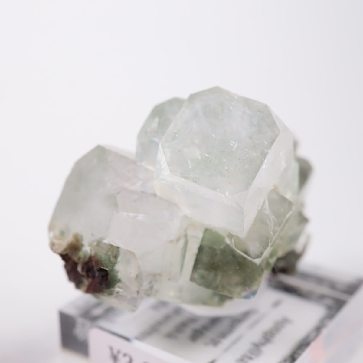 ����ɻ� ���ݥե��饤��