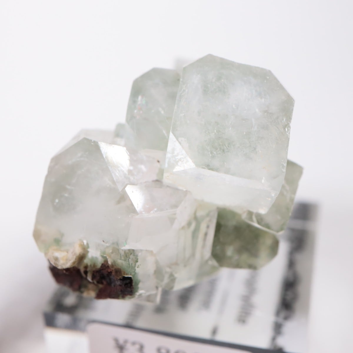 ����ɻ� ���ݥե��饤��