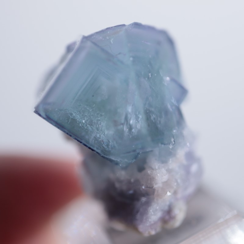 6_000000002087.jpg?1678209904