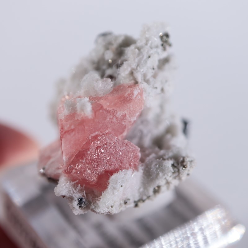 中国産 ロードクロサイト | 鉱物標本,ラ行,ロードクロサイト/菱