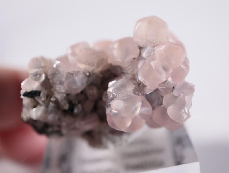 �ĥ�ֹۻ������Х�ȥ��ߥ��ʥ���