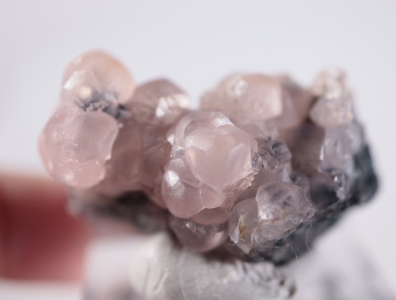 �ĥ�ֹۻ������Х�ȥ��ߥ��ʥ���