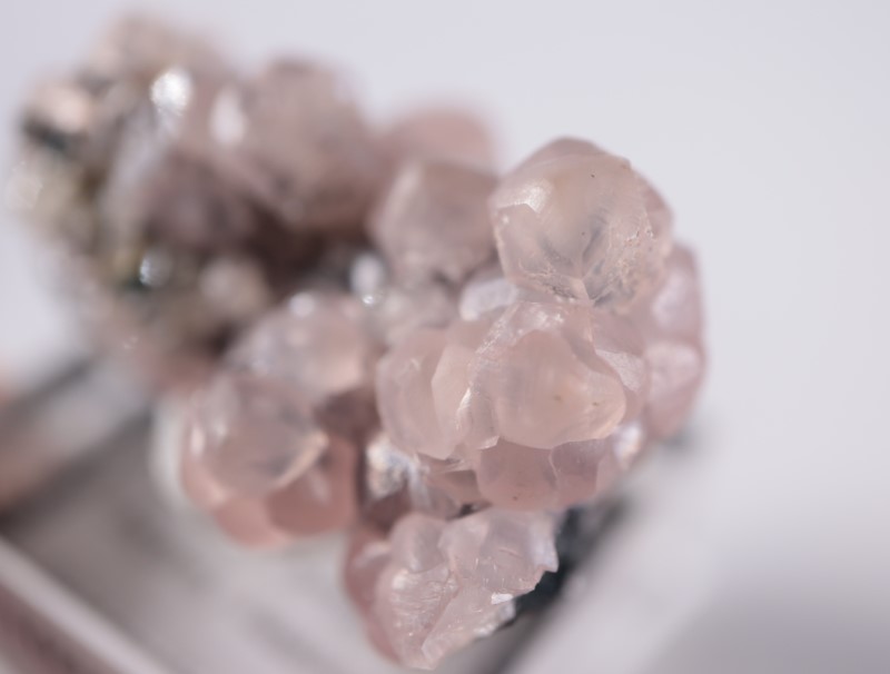 �ĥ�ֹۻ������Х�ȥ��ߥ��ʥ���