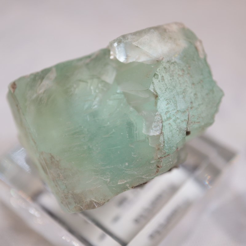 �ե�󥹻����ե����饤��