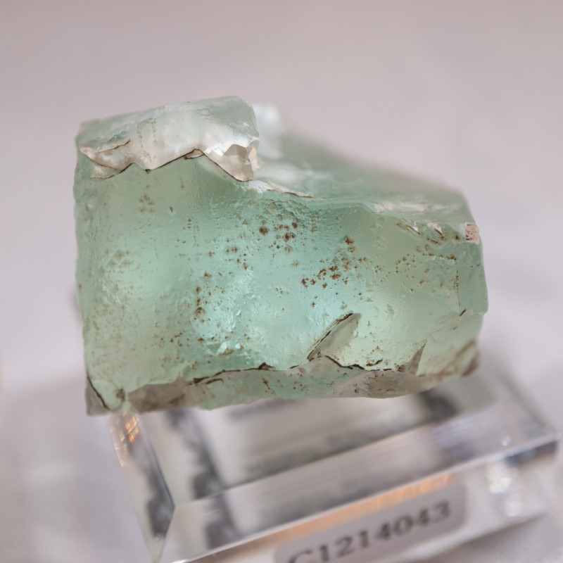 �ե�󥹻����ե����饤��