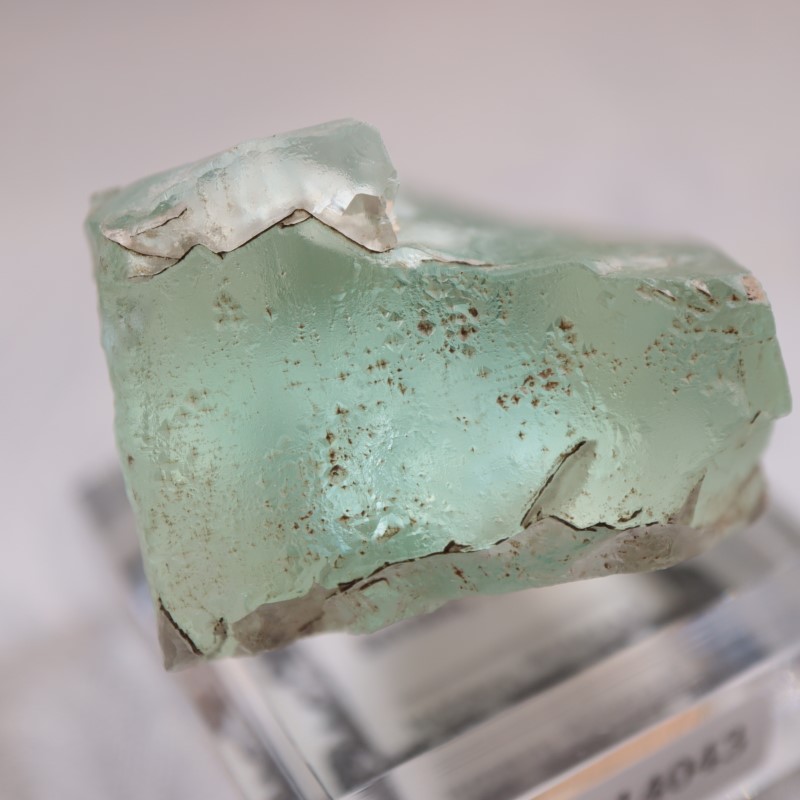 �ե�󥹻����ե����饤��