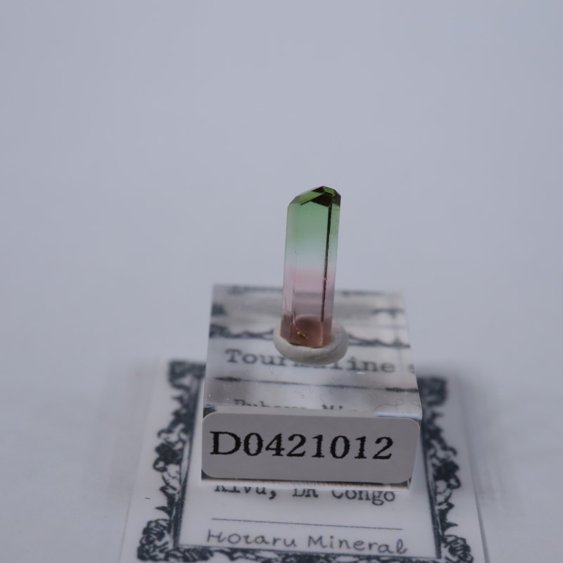 コンゴ産 トルマリン | 鉱物標本,タ行,トルマリン/電気石 | ほたるみ