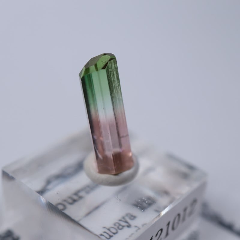 コンゴ産 トルマリン | 鉱物標本,タ行,トルマリン/電気石 | ほたるみ