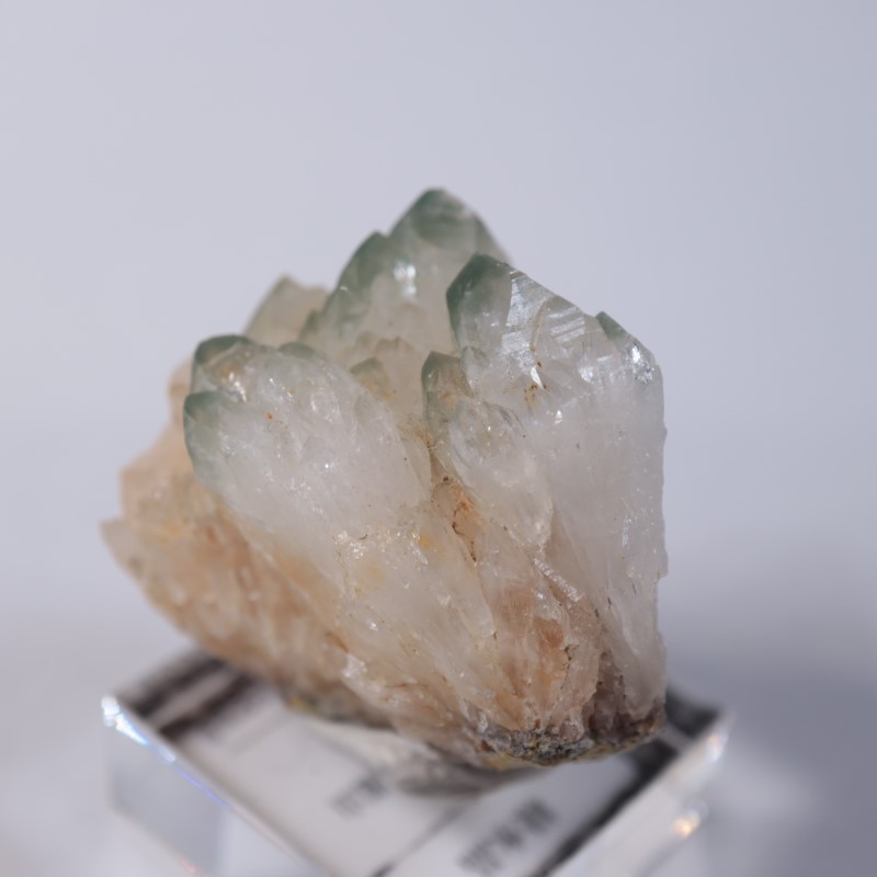 荒川鉱山 緑水晶 | 鉱物標本,カ行,クォーツ/水晶 | ほたるみねら