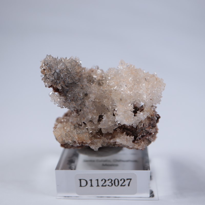 �ᥭ�����������꡼����