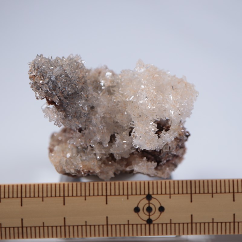 �ᥭ�����������꡼����