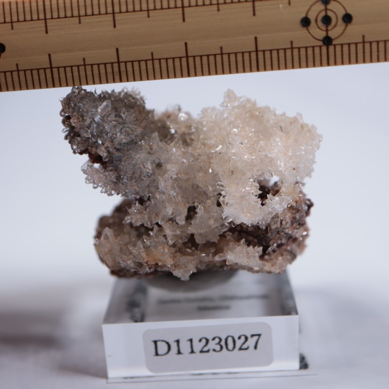 �ᥭ�����������꡼����