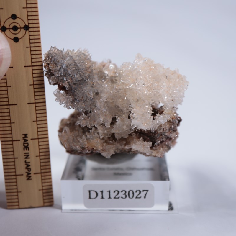 �ᥭ�����������꡼����