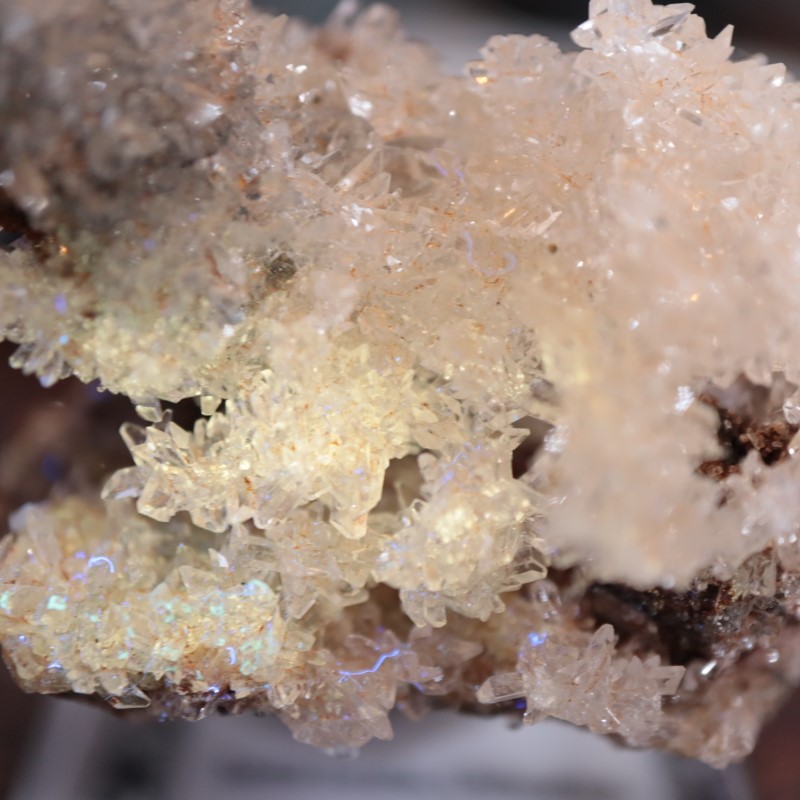 �ᥭ�����������꡼����