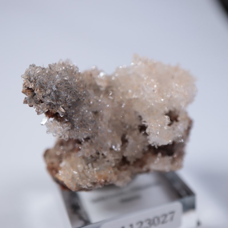 �ᥭ�����������꡼����