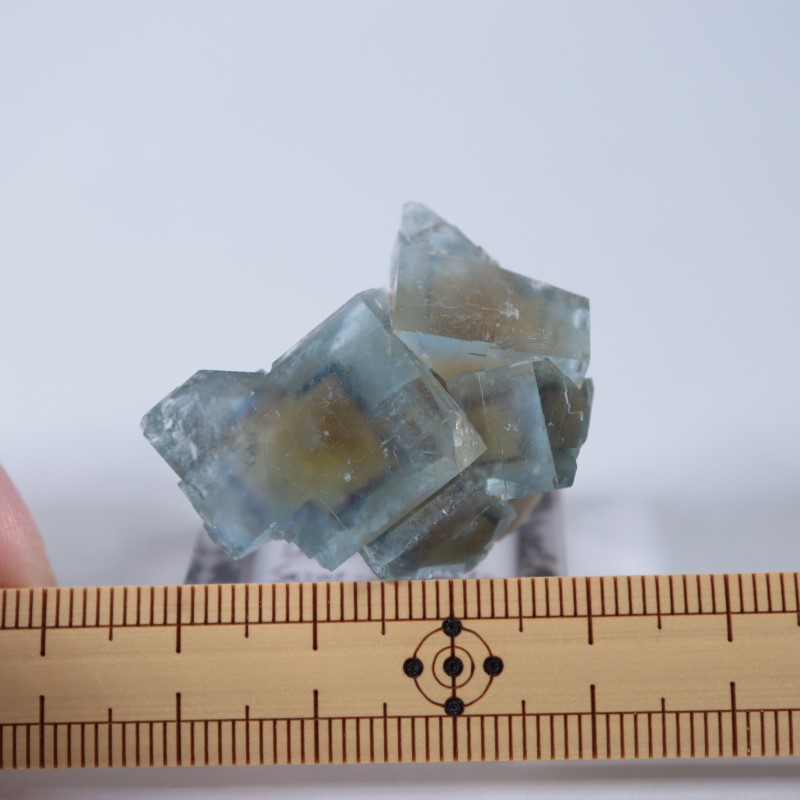 La Barre鉱山 フローライト | 鉱物標本,ハ行,フローライト/蛍石