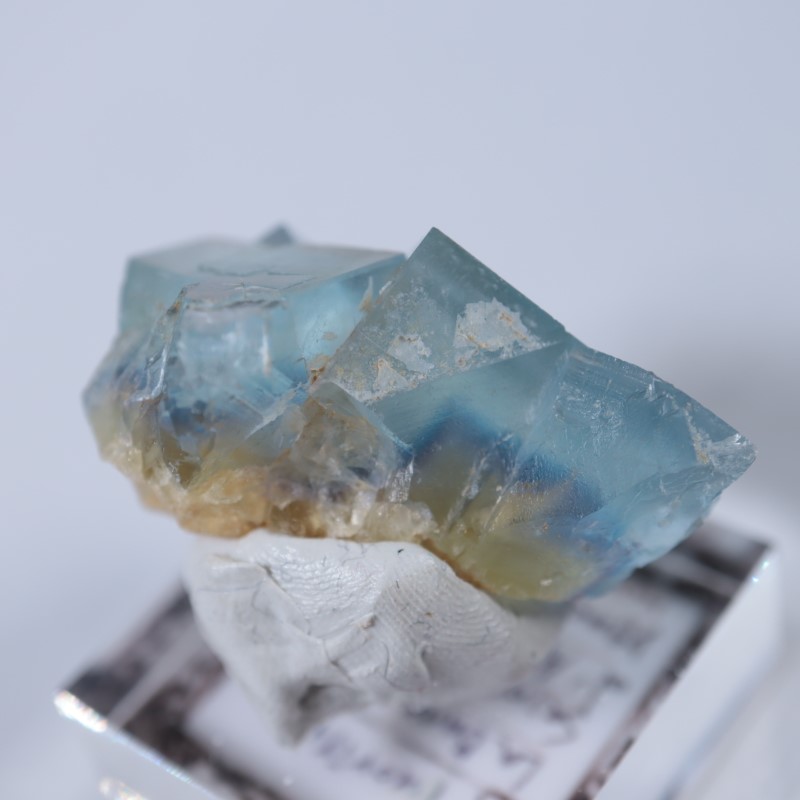 La Barre�ۻ����ե����饤��