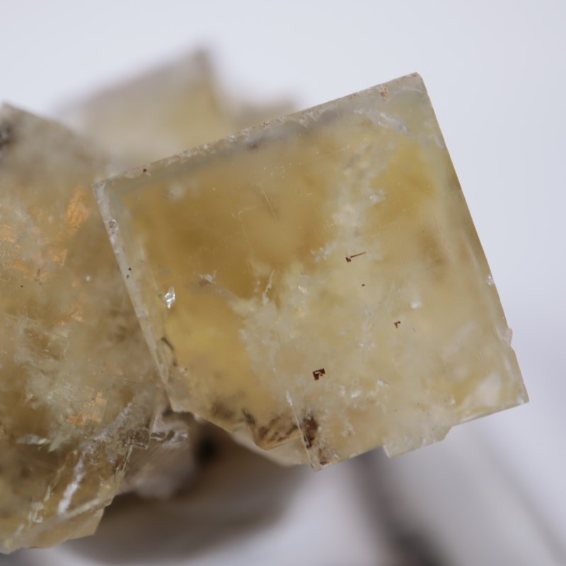 ��ǥ����ʥ٥�ۻ����ե����饤��