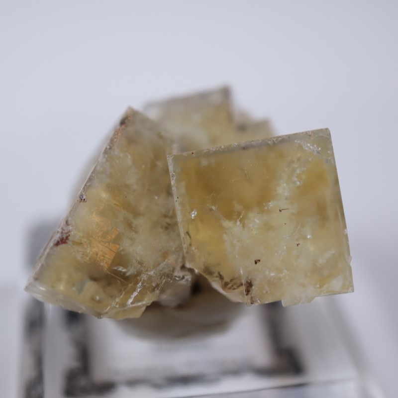 ��ǥ����ʥ٥�ۻ����ե����饤��