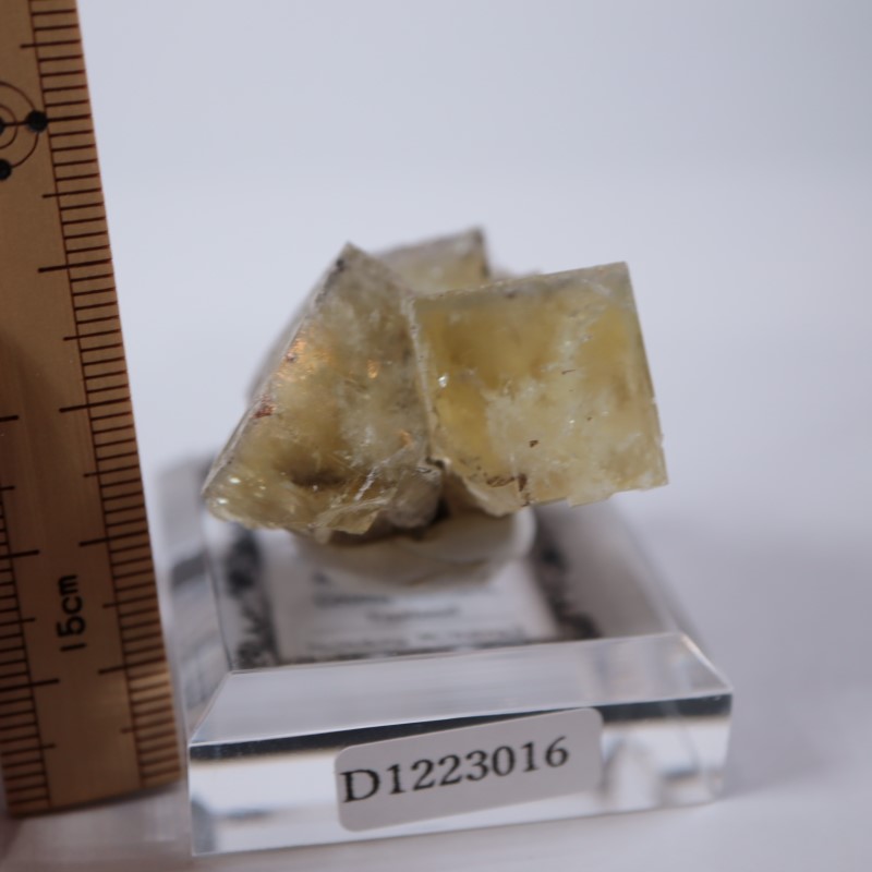 ��ǥ����ʥ٥�ۻ����ե����饤��