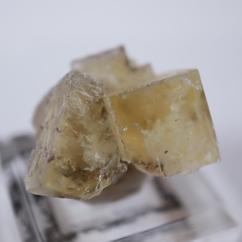 ��ǥ����ʥ٥�ۻ����ե����饤��