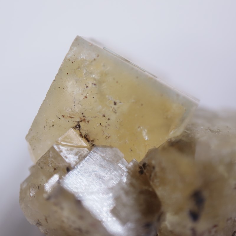 ��ǥ����ʥ٥�ۻ����ե����饤��