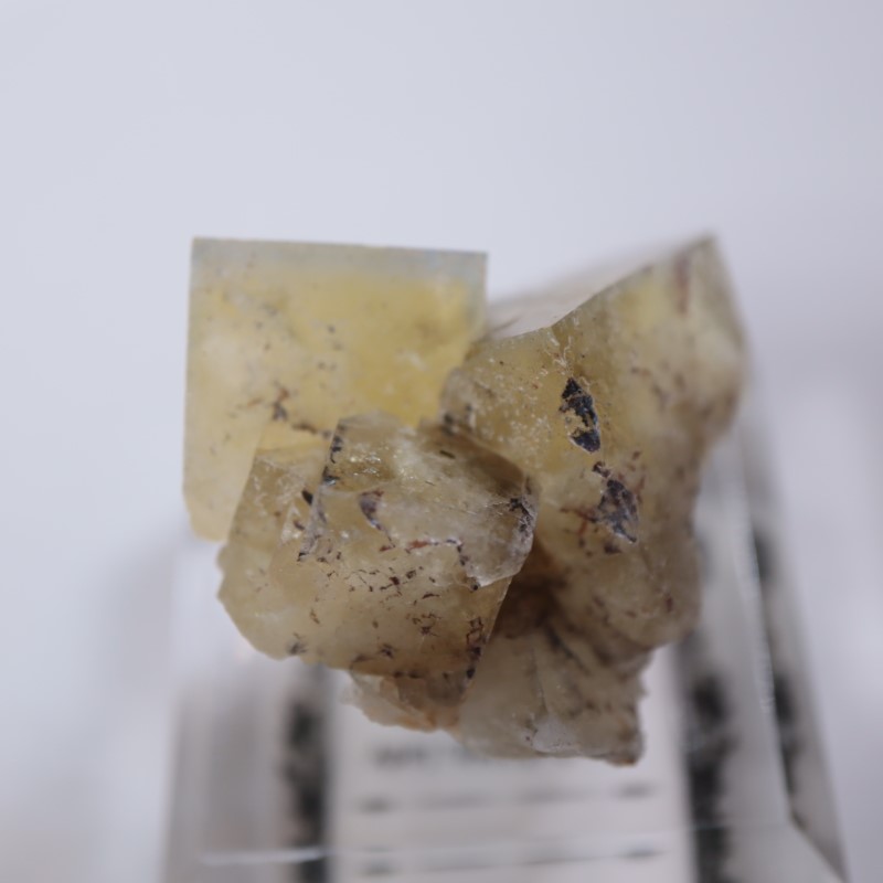 ��ǥ����ʥ٥�ۻ����ե����饤��