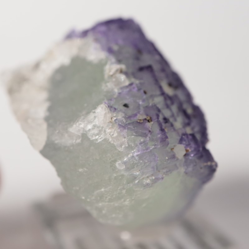 Ice Cream Igloo�ݥ��åȡ����� 