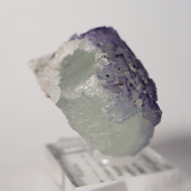 Ice Cream Igloo�ݥ��åȡ����� 