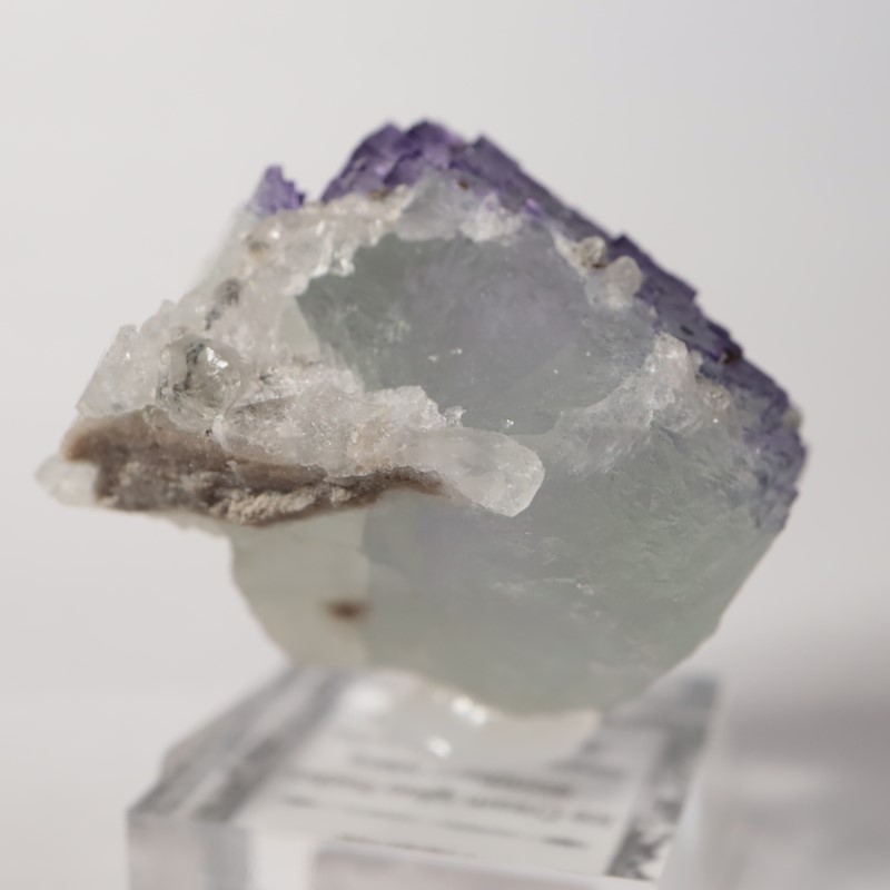 Ice Cream Igloo�ݥ��åȡ����� 