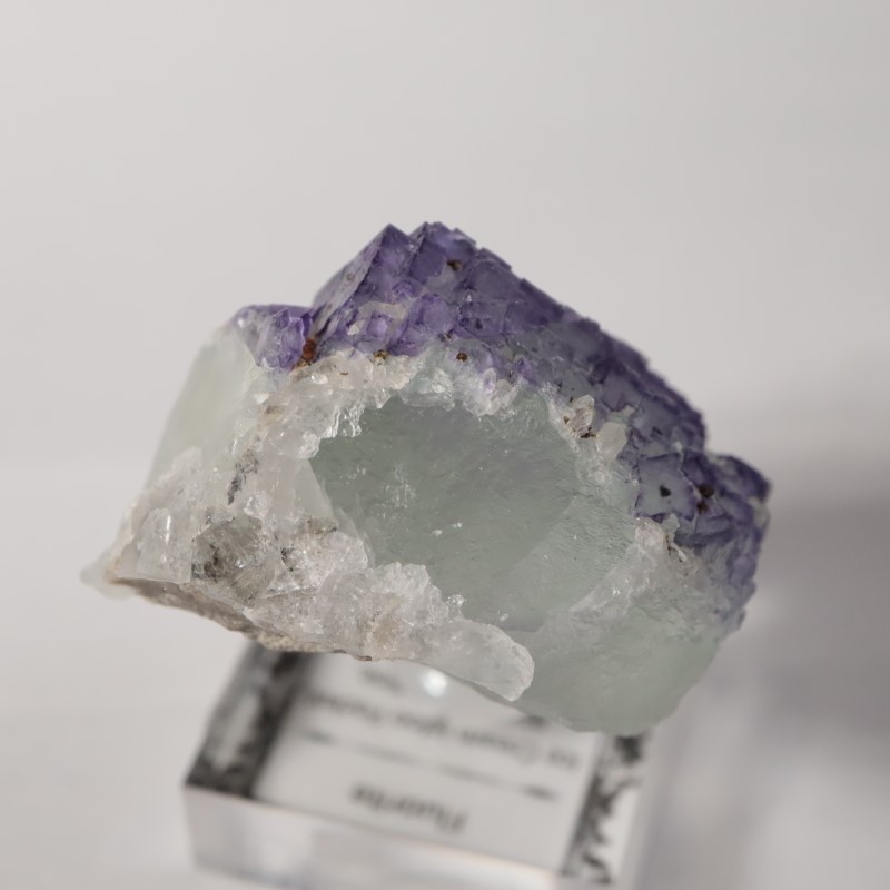 Ice Cream Igloo�ݥ��åȡ����� 