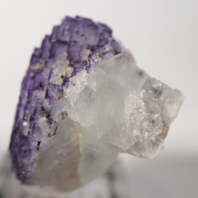 Ice Cream Igloo�ݥ��åȡ����� 