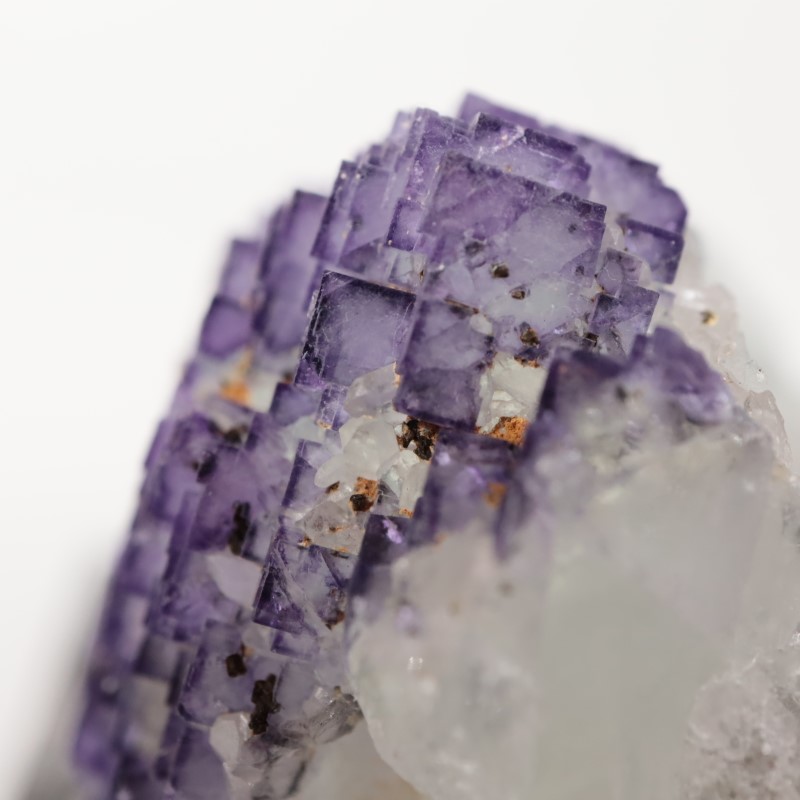 Ice Cream Igloo�ݥ��åȡ����� 