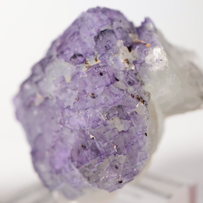 Ice Cream Igloo�ݥ��åȡ����� 