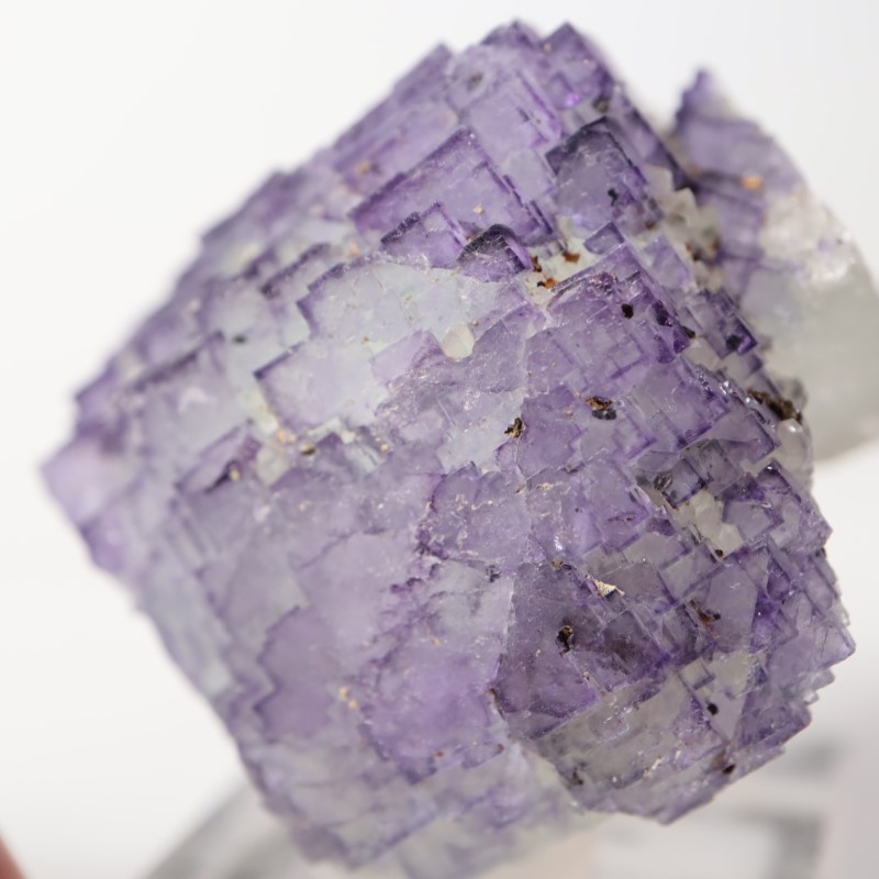 Ice Cream Igloo�ݥ��åȡ����� 