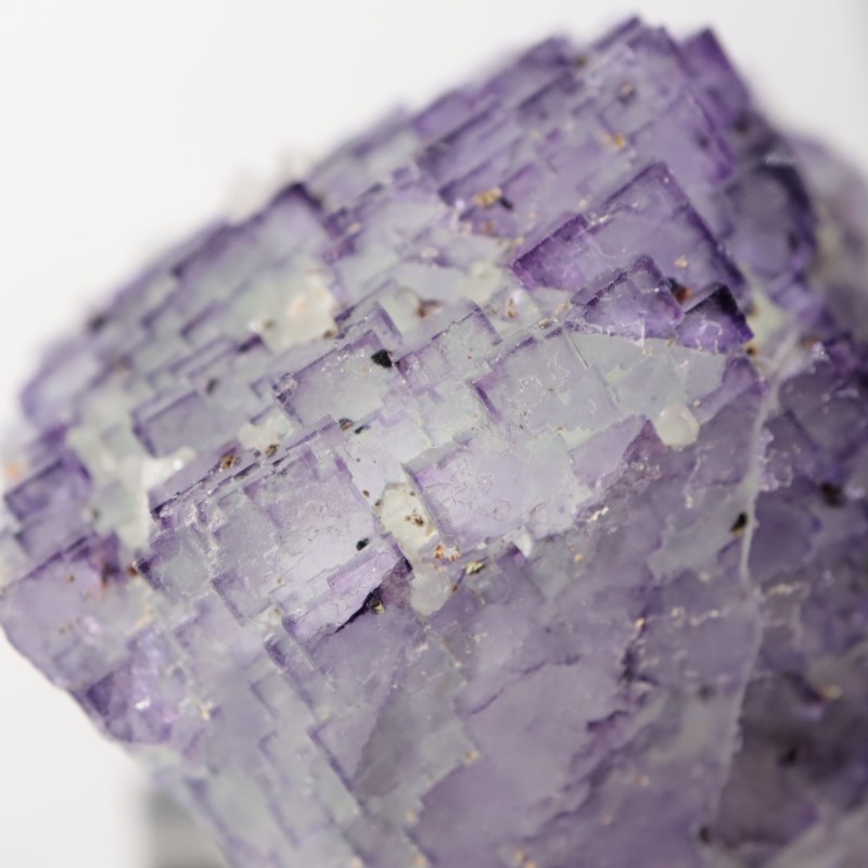 Ice Cream Igloo�ݥ��åȡ����� 