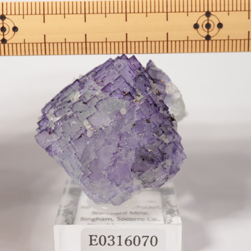 Ice Cream Igloo�ݥ��åȡ����� 