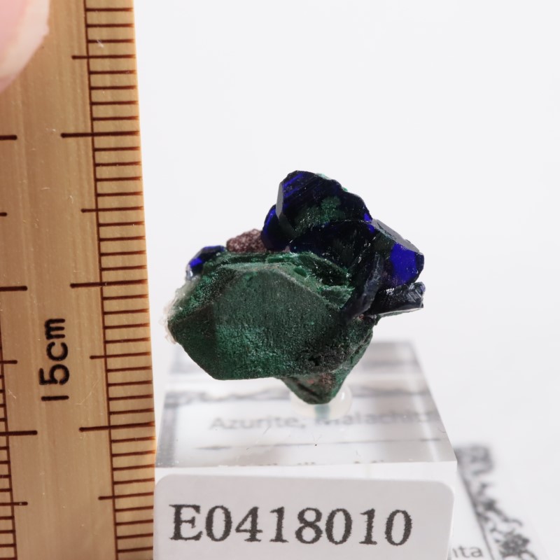 Milpillas�ۻ��������饤�ȡ��ޥ饫����