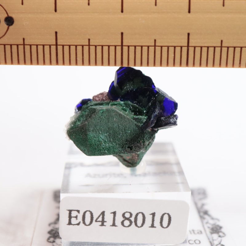 Milpillas�ۻ��������饤�ȡ��ޥ饫����