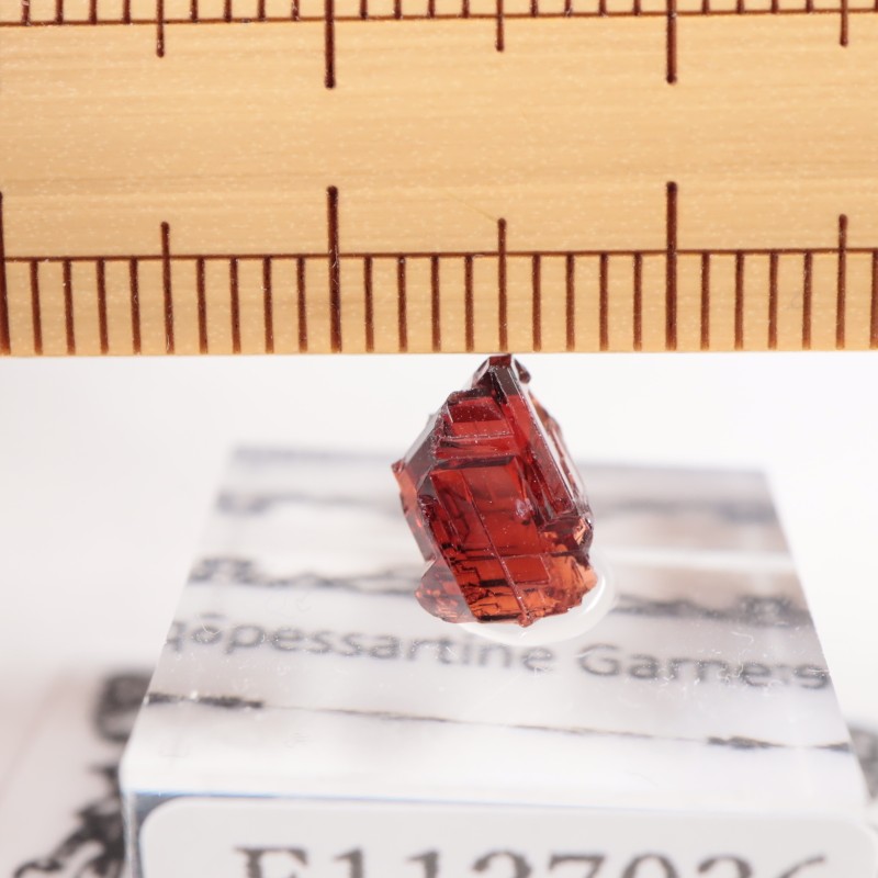 ֥饸뻺 ڥƥ󥬡ͥå