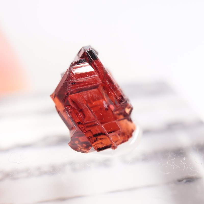 ֥饸뻺 ڥƥ󥬡ͥå