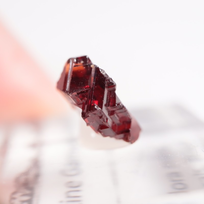 ֥饸뻺 ڥƥ󥬡ͥå