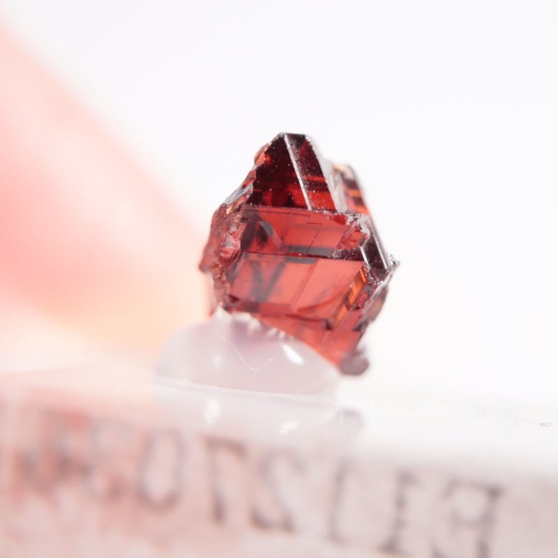 ֥饸뻺 ڥƥ󥬡ͥå