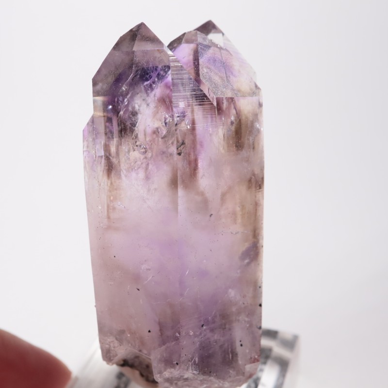 �ᥭ������ �����ꥢ�᥷����