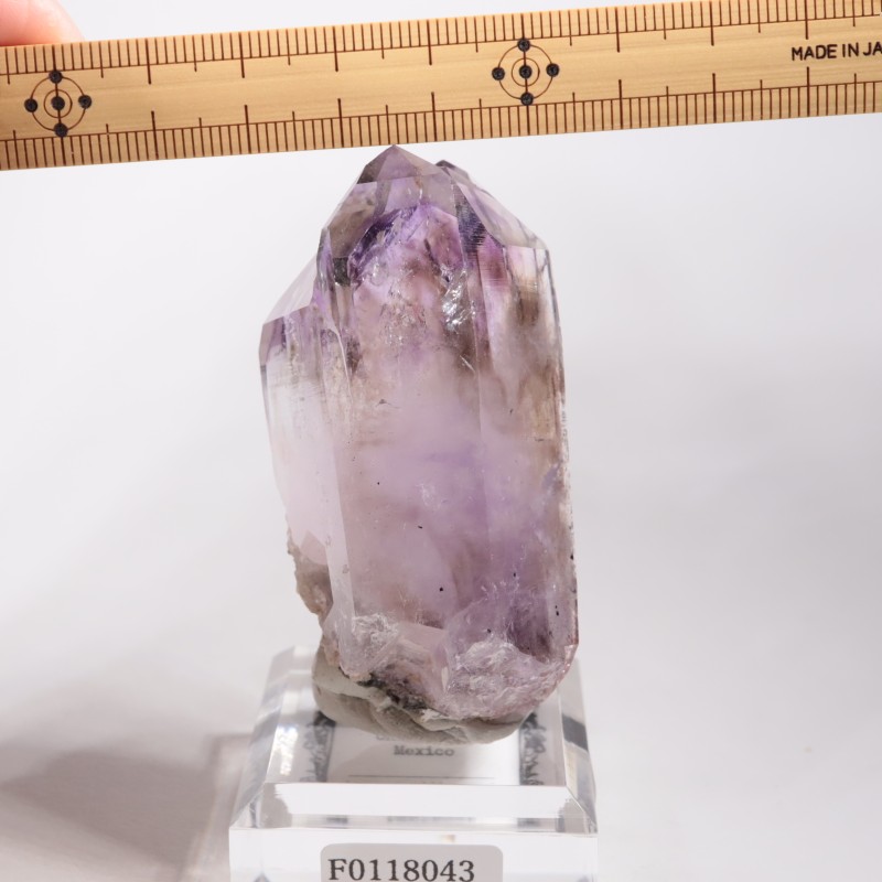 �ᥭ������ �����ꥢ�᥷����